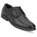 Shoes Black